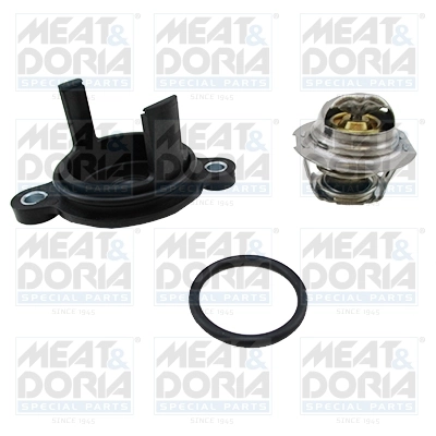 Thermostat, coolant